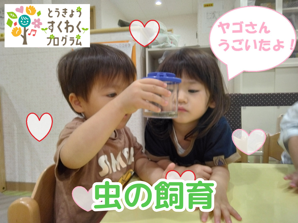 【HOPPA板橋赤塚ばうむ保育園】とうきょうすくわくプログラムに取り組んでいます。第2弾！